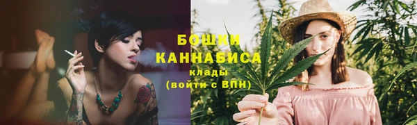 стафф Гусев