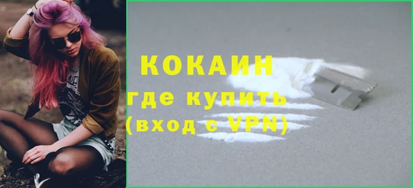 стафф Гусев