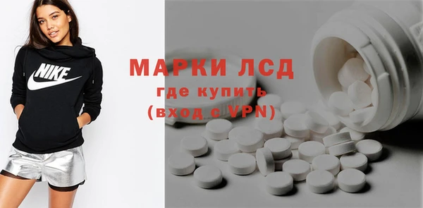 стафф Гусев