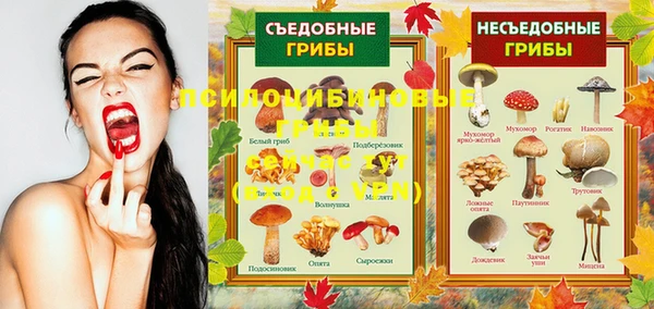 Альфа ПВП Гусь-Хрустальный