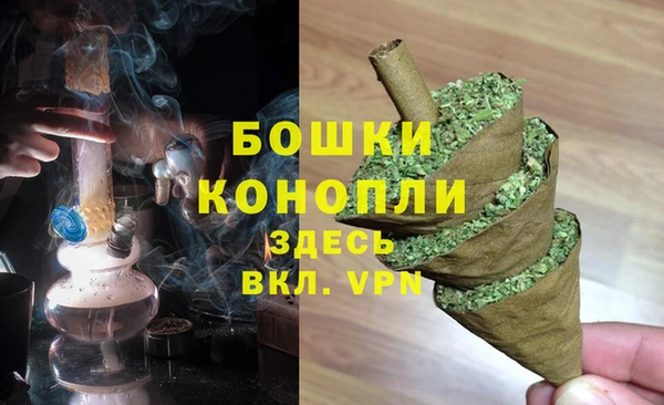 соль ск Гусиноозёрск