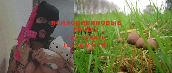 Альфа ПВП Гусь-Хрустальный