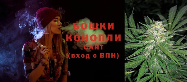 Альфа ПВП Гусь-Хрустальный
