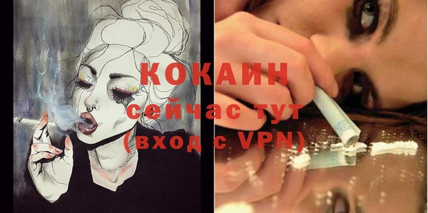 Альфа ПВП Гусь-Хрустальный