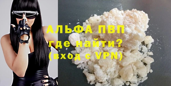 стафф Гусев