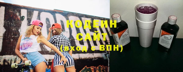 соль ск Гусиноозёрск