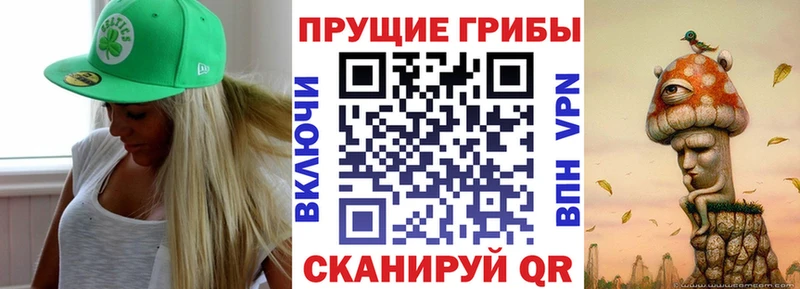 Галлюциногенные грибы прущие грибы Соль-Илецк