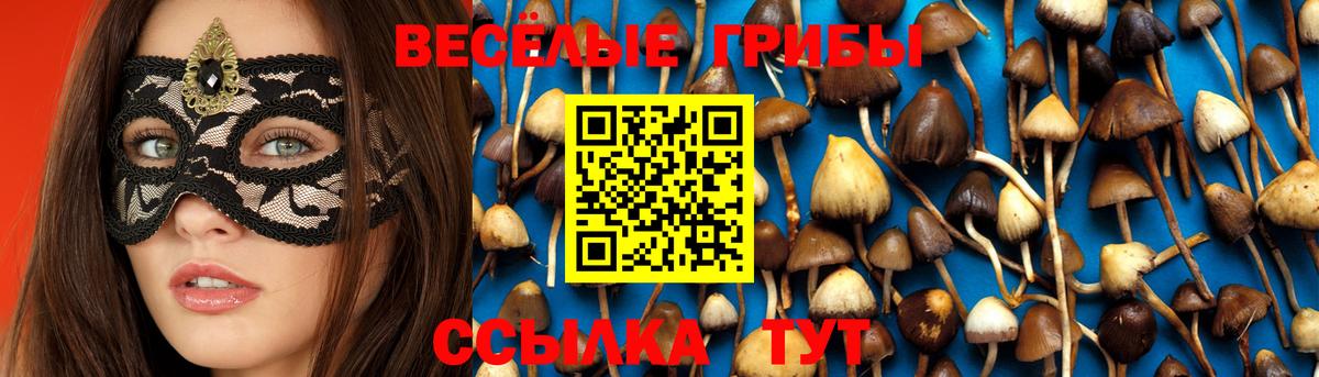 Псилоцибиновые грибы Cubensis  магазин    Соль-Илецк  Вход с VPN 